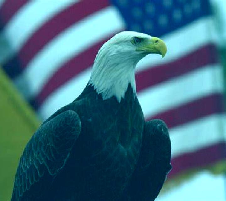 Mía, 23 — Escort en Maple Shade, Estados Unidos