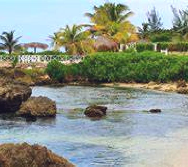 Manuela, 21 — Escort en Lucea, Jamaica