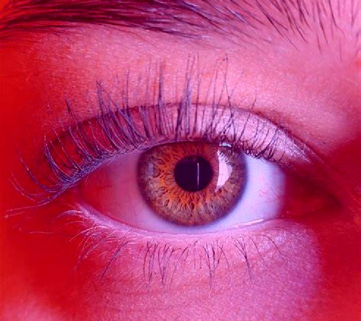 Marta, 21, acompañante castaño claro de ojos verdes y etnia mezcla basada en Myslowice. Ofrece Parejas, Hasta el final (CIM), Masaje. Disponible en domicilio...