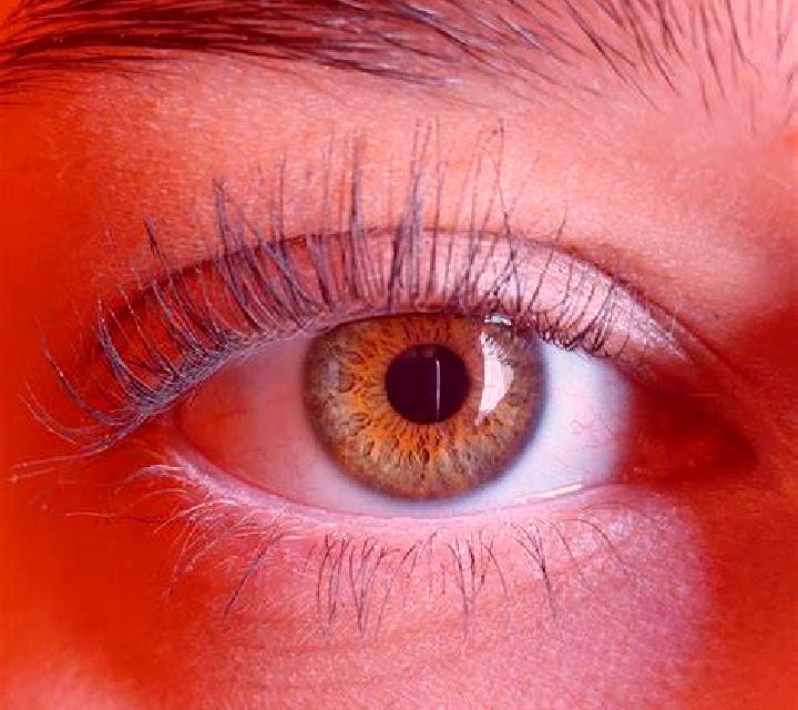 Marta, 32, acompañante castaña de ojos verdes y etnia oriente medio basada en Forlev. Ofrece Noche completa, Hasta el final (CIM), Striptease, GFE (Experienc...