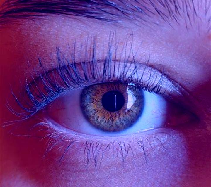 Miriam, 21, acompañante rubia platino de ojos verdes y etnia asiática basada en Haguimit. Ofrece Masaje de próstata, 69, Noche completa. Disponible en domici...