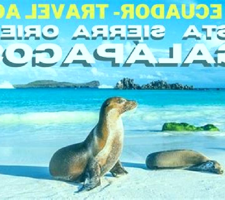 Mora, 24 — Escort en Vardoe, Islas Åland