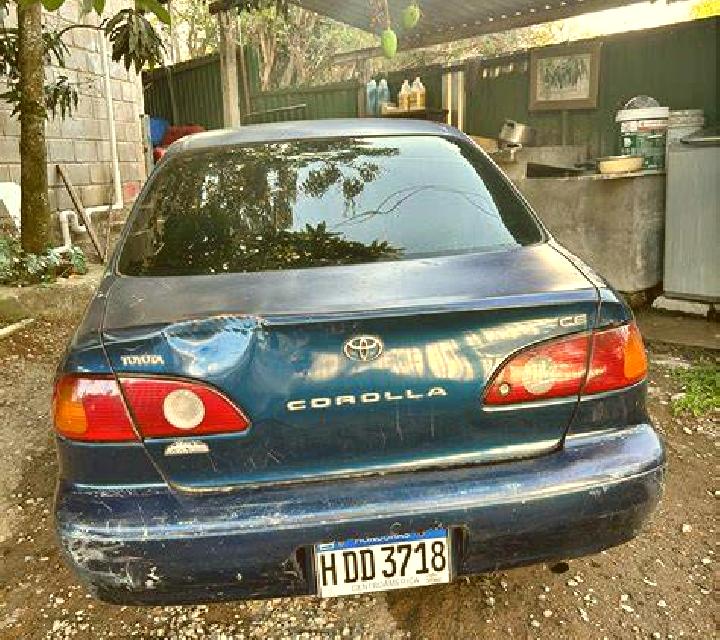 Mora, 25 — Escort en Bamba, Malí