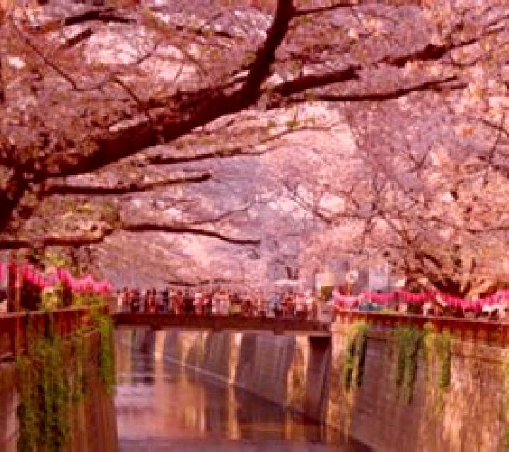 Mora, 31 — Escort en Itogawa, Japón