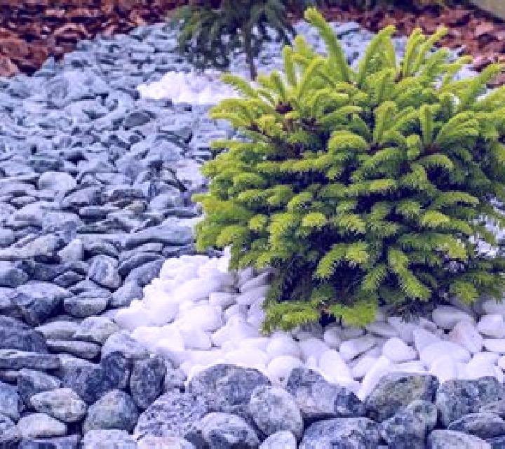 Natalia, 21, acompañante castaño claro de ojos verdes y etnia asiática basada en Rishton. Ofrece GFE (Experiencia de novia), Juego de roles, Chica de fiesta,...