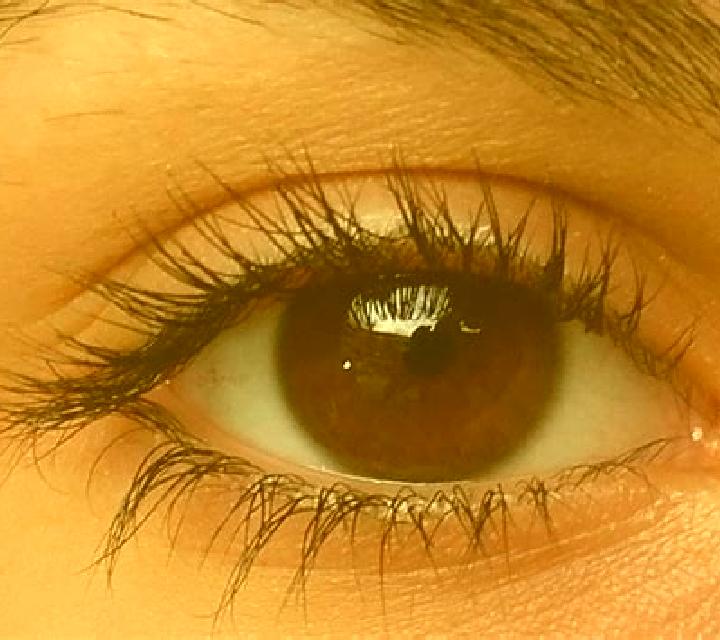 Noa, 26, acompañante castaña de ojos oscuros y etnia oriente medio basada en Imphy. Ofrece 69, Tantra, Masaje, Cita de cena. Disponible en domicilio y visita...