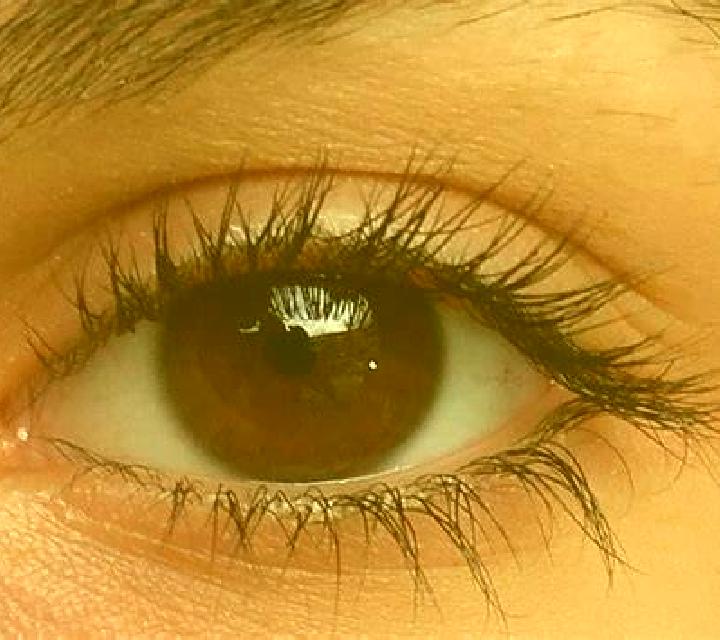 Noa, 34, acompañante castaña de ojos marrones y etnia india basada en Tielt. Ofrece Chica de fiesta, Striptease, Masaje erótico. Disponible en domicilio y vi...