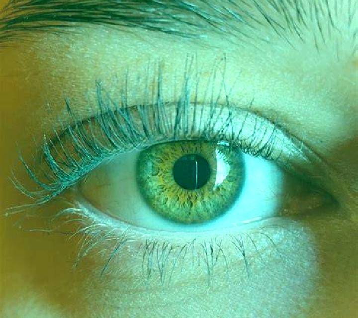 Noa, 39, acompañante morena de ojos verdes y etnia caucásica basada en Heingang. Ofrece Dominación, Beso francés profundo, Striptease. Disponible en domicili...