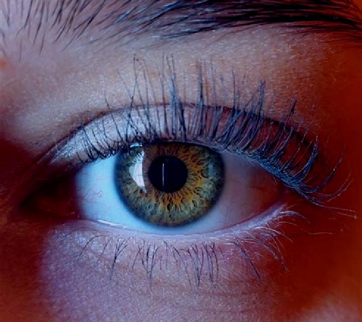 Nora, 34, acompañante castaña de ojos avellana y etnia latina basada en Ham. Ofrece Parejas, Hasta el final (CIM), Francés natural, Beso francés profundo. Di...