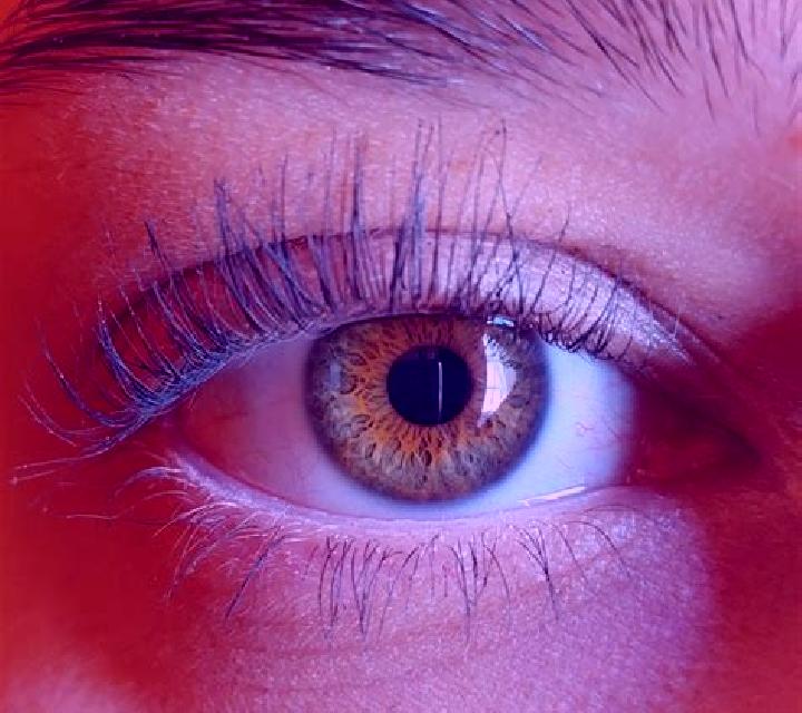 Nora, 39, acompañante negra de ojos ámbar y etnia mezcla basada en The Quarter. Ofrece Masaje de próstata, Acompañante de viaje, BDSM. Disponible en domicili...