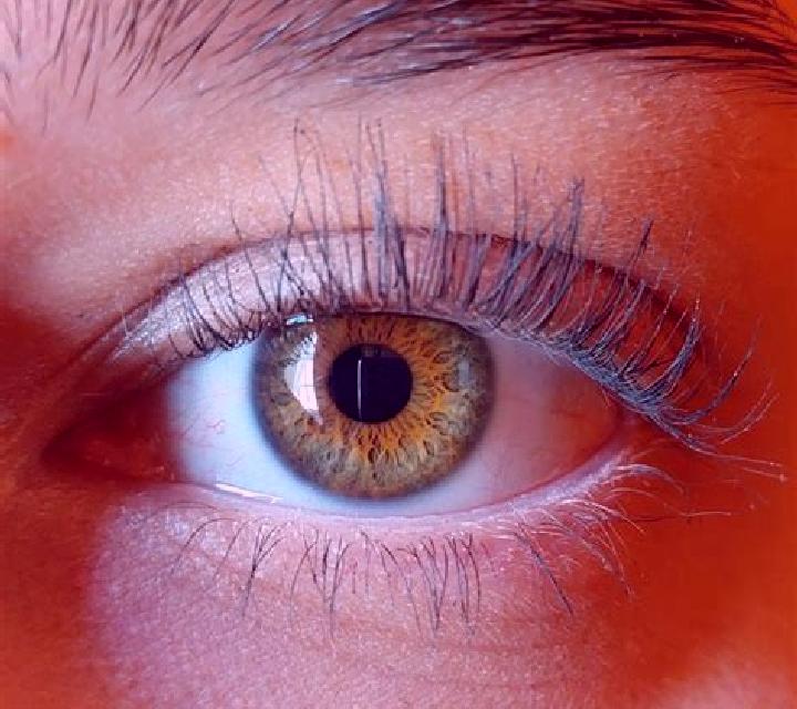 Paula, 21, acompañante rubia de ojos avellana y etnia asiática basada en Ponte Barizzo. Ofrece Noche completa, Griego (anal), Masaje, Hasta el final (CIM). D...