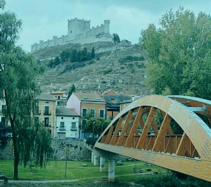 Rocío, 21 — Escort en Penafiel, España