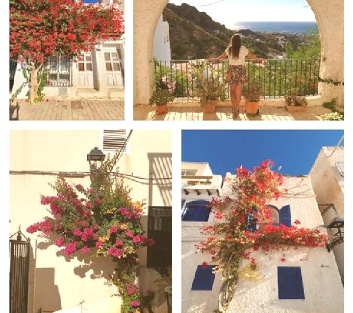 Rosa, 24 — Escort en Mojacar, España