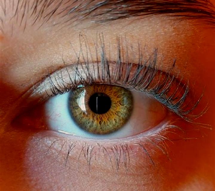 Rosa, 37, acompañante pelirroja de ojos verdes y etnia asiática basada en Doolittle. Ofrece Masaje erótico, Masaje, Striptease, Experiencia de novia. Disponi...