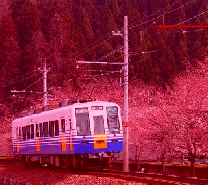 Salma, 23 — Escort en Echizen, Japón