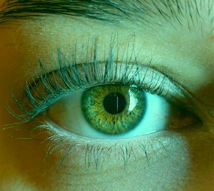 Sara, 22, acompañante rubia de ojos avellana y etnia oriente medio basada en Denee. Ofrece Hasta el final (CIM), Striptease, Masaje erótico, Francés natural....