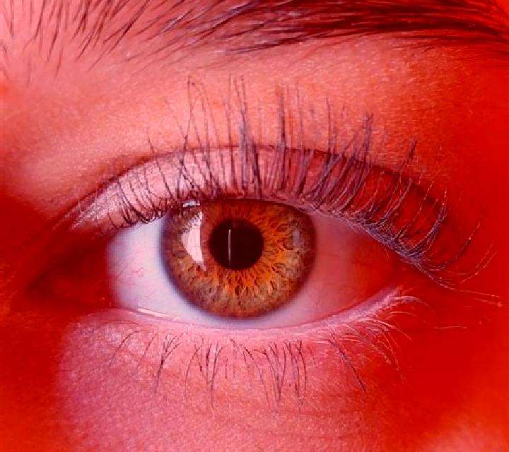Sofía, 20, acompañante rubia platino de ojos marrones y etnia mediterránea basada en Chikiti. Ofrece Tantra, Tríos / dúos, Francés natural, Fetiche, Hasta el...