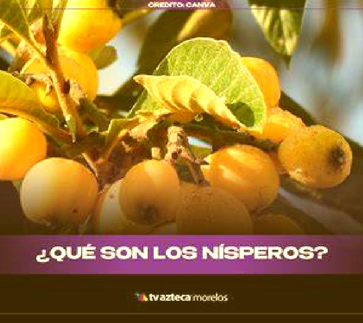 Sofía, 21 — Escort en Bluewell, Estados Unidos