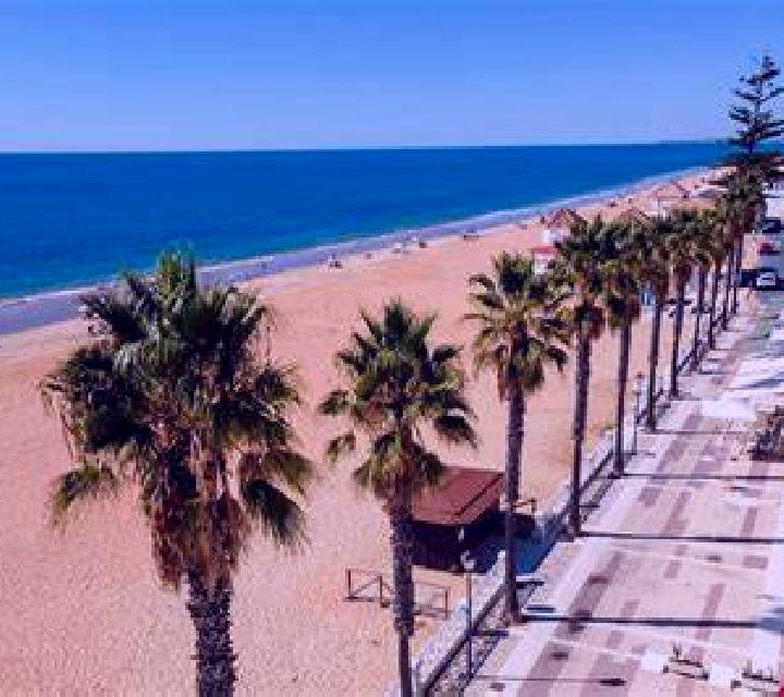 Sofía, 21 — Escort en Islantilla, España