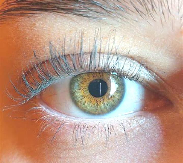 Sofía, 22, acompañante rubia platino de ojos oscuros y etnia latina basada en Nha Bang. Ofrece 69, Chica de fiesta, Tantra, Masaje erótico, Hasta el final (C...