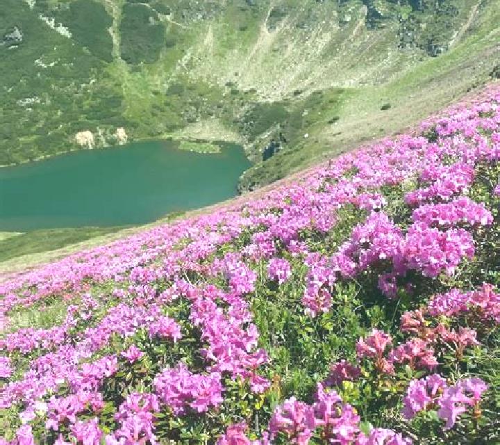 Sofía, 23 — Escort en Guenguerge, Turquía