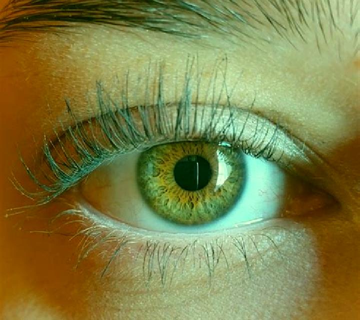 Sofía, 28, acompañante rubia de ojos avellana y etnia caucásica basada en Altendorf. Ofrece Acompañante de viaje, Tantra, Hasta el final (CIM), Noche complet...