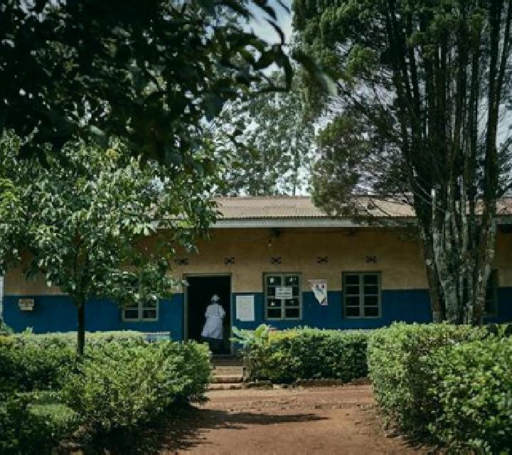 Sofía, 35 — Escort en Etoumbi, Congo