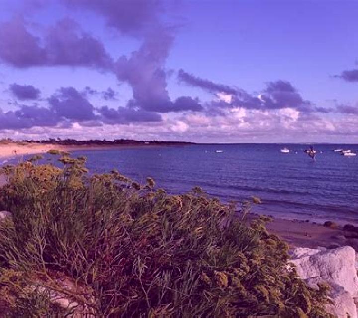 Sofía, 37 — Escort en Dolus-d Oleron, Francia