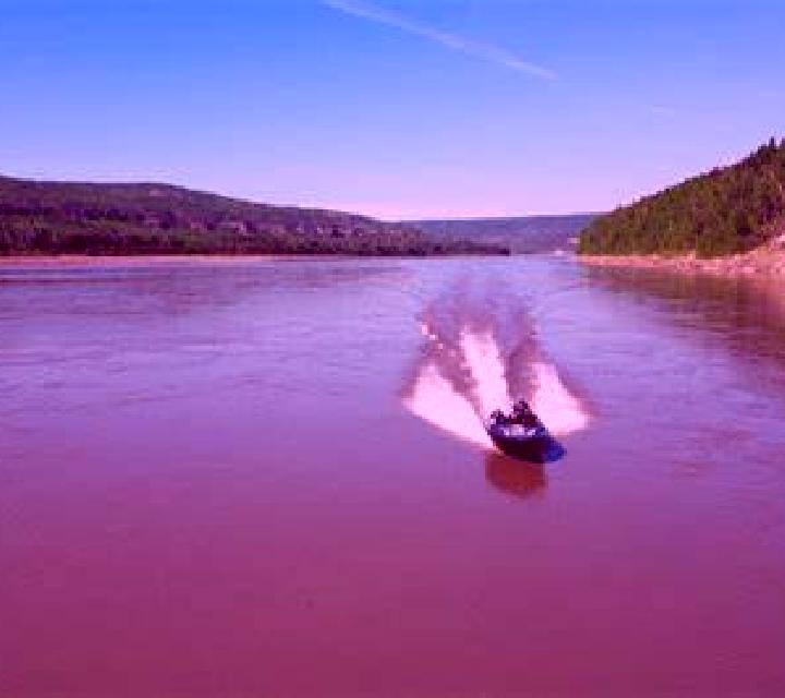 Sofía, 39 — Escort en Peace River, Canadá
