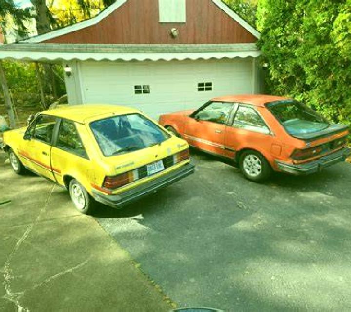 Sofía, 39 — Escort en Shorapur, India