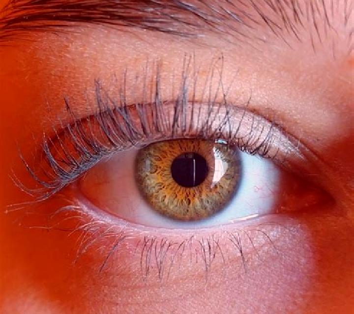 Vega, 20, acompañante pelirroja de ojos avellana y etnia asiática basada en Santa Ana de Yacuma. Ofrece Acompañante de viaje, Dominación, Parejas. Disponible...