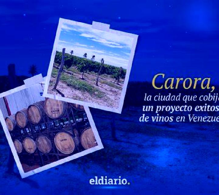 Vega, 24, acompañante castaño claro de ojos grises y etnia caribeña basada en Piney. Ofrece Tríos / dúos, Chica de fiesta, Parejas, Beso francés profundo. Di...