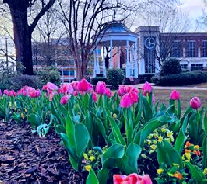 Vega, 28, acompañante pelirroja de ojos avellana y etnia mediterránea basada en Cervarezza. Ofrece BDSM, Acompañante de viaje, Masaje erótico. Disponible en ...