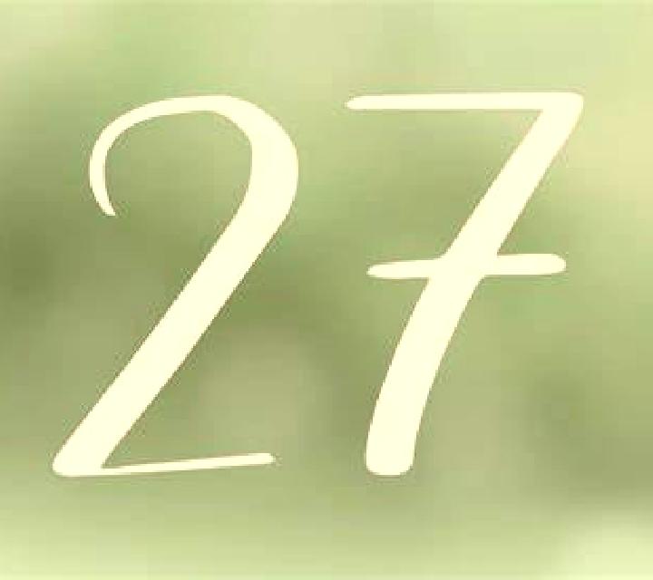 Zara, 27 — Escort en Inhangapi, Brasil