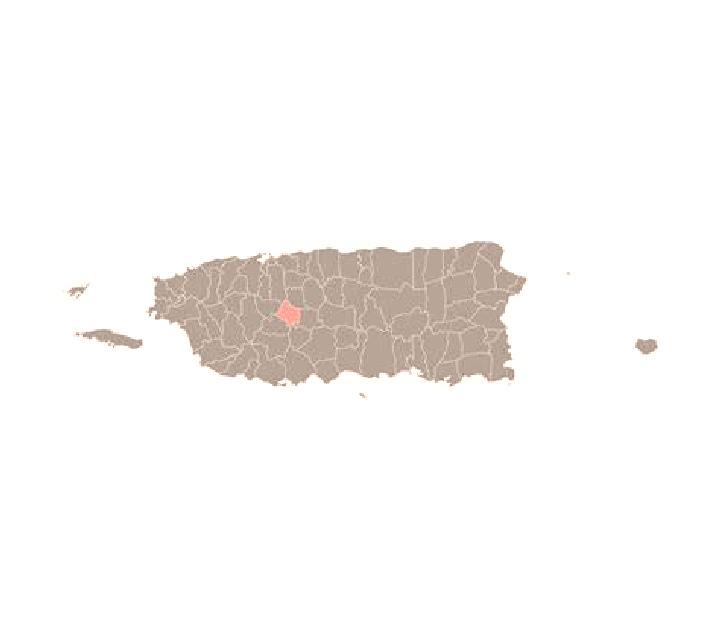 Zara, 28 — Escort en Comerio, Puerto Rico