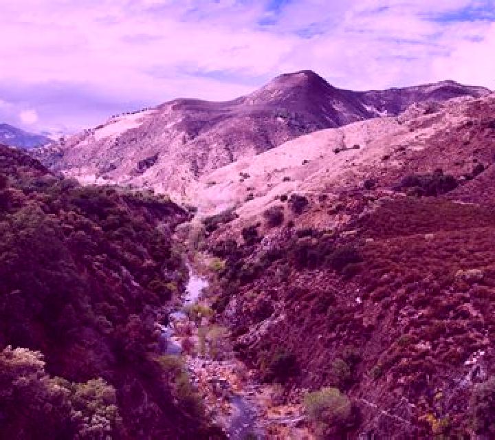 Zara, 35, acompañante morena de ojos ámbar y etnia latina basada en Mayran. Ofrece 69, GFE (Experiencia de novia), Cita de cena, Chica de fiesta, Masaje de p...